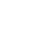 professionisti